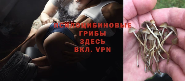 кокс Беломорск