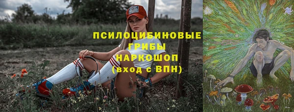 spice Белокуриха