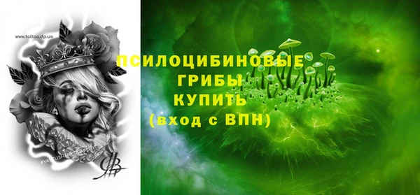 spice Белокуриха